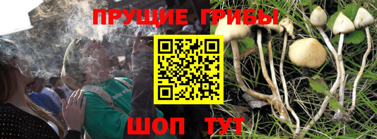 Псилоцибиновые грибы Magic Shrooms Псков