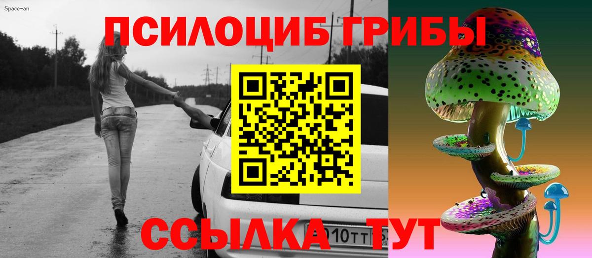 Псков  Псилоцибиновые грибы мицелий  Вход с VPN 